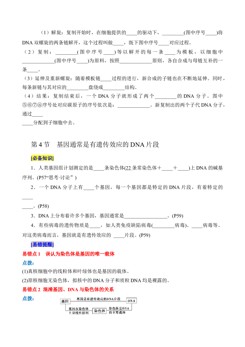 第3章基因的本质（填空版）_2025年新高考资料_专项复习_晨读晚默备战2025年高考生物必背知识清单_第3章基因的本质-晨读晚默备战2025年高考生物必背知识清单