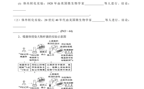 第3章基因的本质（填空版）_2025年新高考资料_专项复习_晨读晚默备战2025年高考生物必背知识清单_第3章基因的本质-晨读晚默备战2025年高考生物必背知识清单