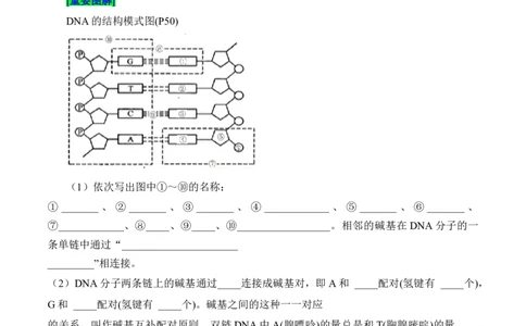 第3章基因的本质（填空版）_2025年新高考资料_专项复习_晨读晚默备战2025年高考生物必背知识清单_第3章基因的本质-晨读晚默备战2025年高考生物必背知识清单