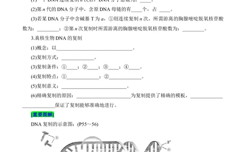 第3章基因的本质（填空版）_2025年新高考资料_专项复习_晨读晚默备战2025年高考生物必背知识清单_第3章基因的本质-晨读晚默备战2025年高考生物必背知识清单