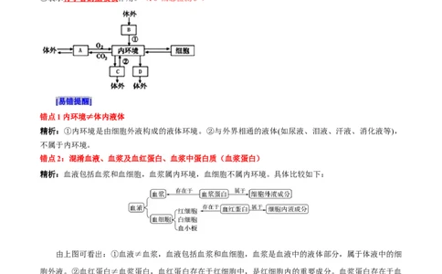 第1章人体的内环境与稳态（背诵版）_2025年新高考资料_专项复习_晨读晚默备战2025年高考生物必背知识清单_第1章人体的内环境与稳态-晨读晚默备战2025年高考生物必背知识清单