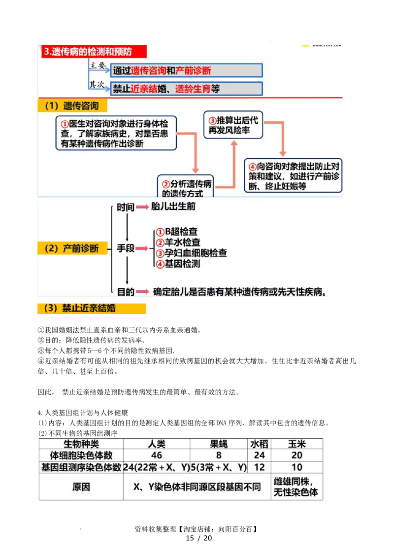 第18讲伴性遗传和人类遗传病（讲义）（教师版）_新高考复习资料_2024年新高考复习资料_一轮复习资料_完2024年高考生物一轮复习讲练测(课件+讲义+练习)（新高考）_讲义+练习