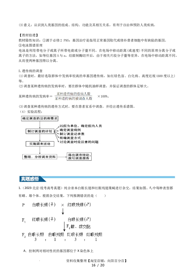 第18讲伴性遗传和人类遗传病（讲义）（教师版）_新高考复习资料_2024年新高考复习资料_一轮复习资料_完2024年高考生物一轮复习讲练测(课件+讲义+练习)（新高考）_讲义+练习