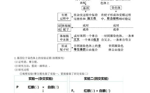 第18讲伴性遗传和人类遗传病（讲义）（教师版）_新高考复习资料_2024年新高考复习资料_一轮复习资料_完2024年高考生物一轮复习讲练测(课件+讲义+练习)（新高考）_讲义+练习