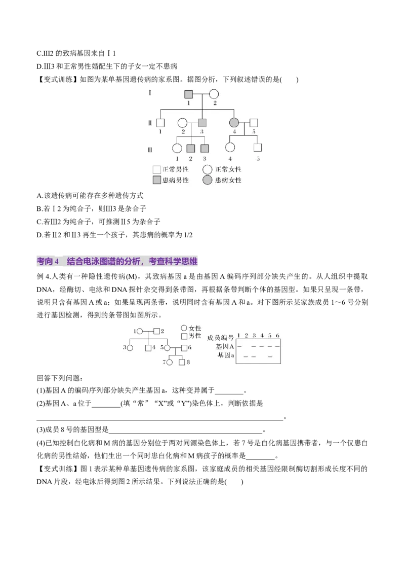 第17讲伴性遗传和人类遗传病（讲义）（原卷版）_2025年新高考资料_一轮复习_2025年高考生物一轮复习讲练测（新教材新高考）