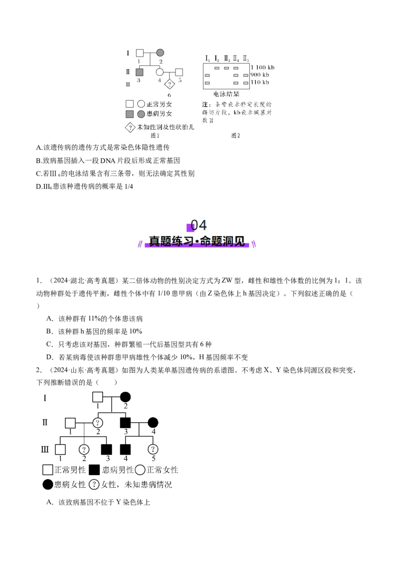 第17讲伴性遗传和人类遗传病（讲义）（原卷版）_2025年新高考资料_一轮复习_2025年高考生物一轮复习讲练测（新教材新高考）
