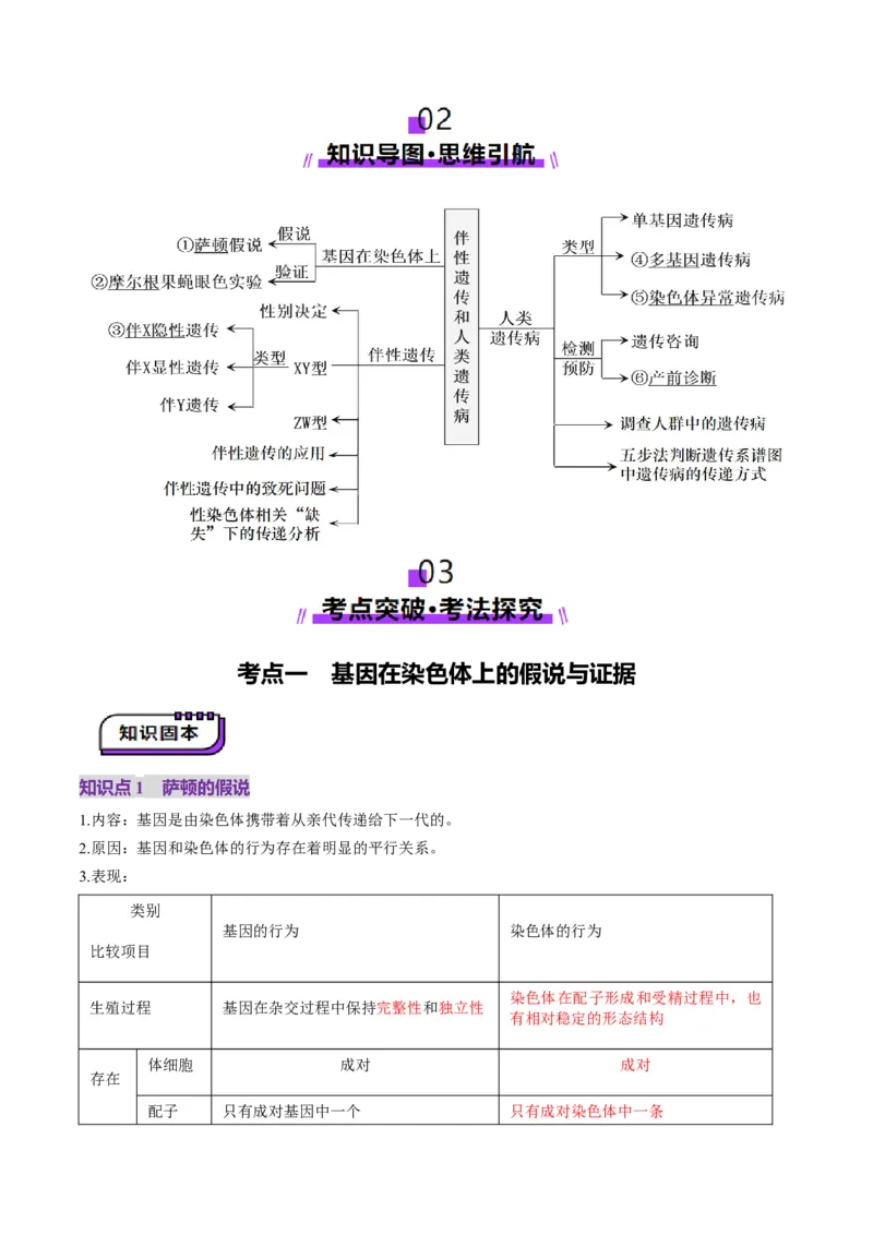 第17讲伴性遗传和人类遗传病（讲义）（原卷版）_2025年新高考资料_一轮复习_2025年高考生物一轮复习讲练测（新教材新高考）