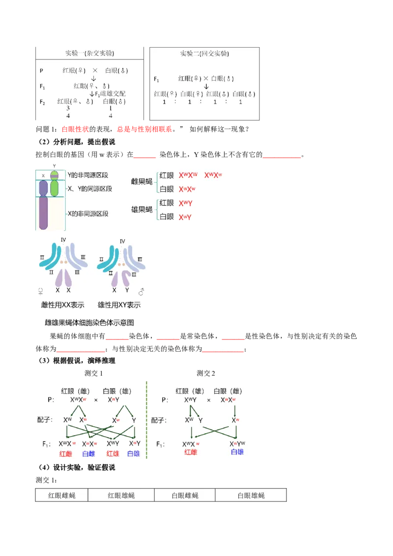 第17讲伴性遗传和人类遗传病（讲义）（原卷版）_2025年新高考资料_一轮复习_2025年高考生物一轮复习讲练测（新教材新高考）