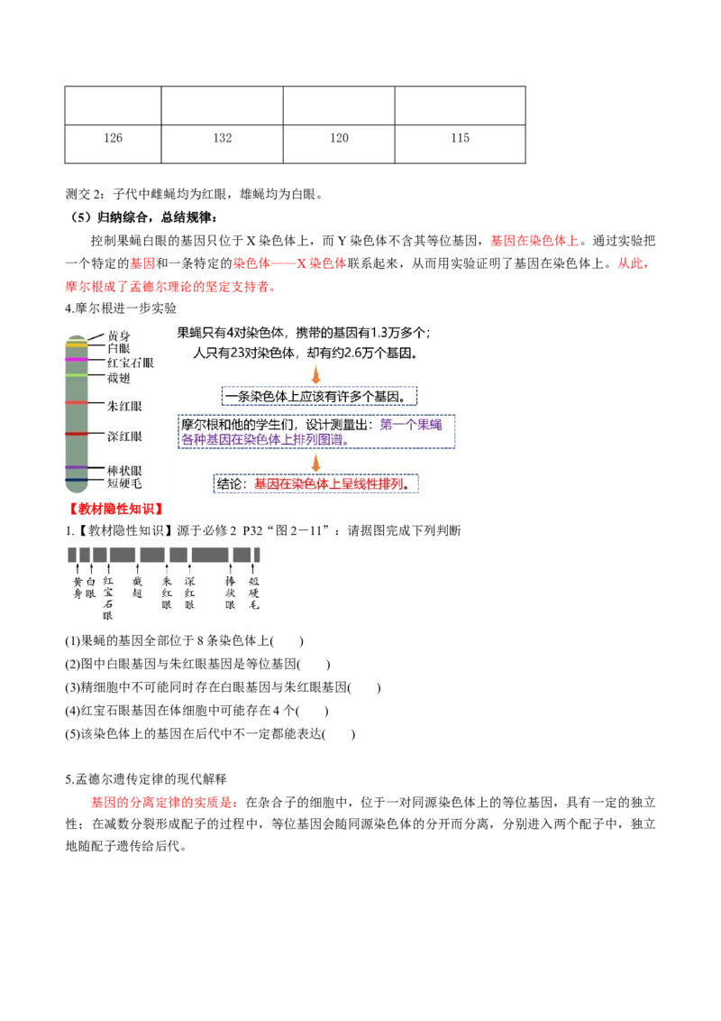 第17讲伴性遗传和人类遗传病（讲义）（原卷版）_2025年新高考资料_一轮复习_2025年高考生物一轮复习讲练测（新教材新高考）