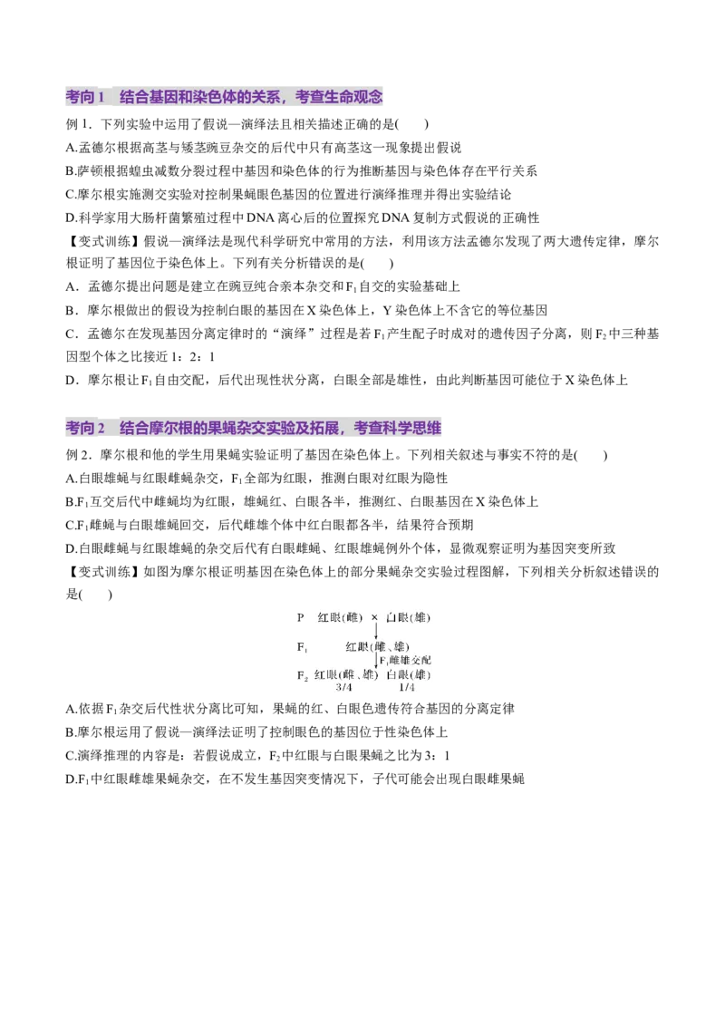 第17讲伴性遗传和人类遗传病（讲义）（原卷版）_2025年新高考资料_一轮复习_2025年高考生物一轮复习讲练测（新教材新高考）