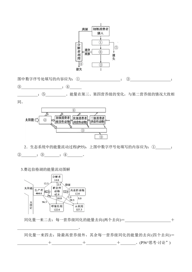 第3章生态系统及其稳定性（填空版）_2025年新高考资料_专项复习_晨读晚默备战2025年高考生物必背知识清单_第3章生态系统及其稳定性-晨读晚默备战2025年高考生物必背知识清单