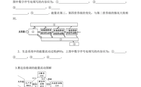 第3章生态系统及其稳定性（填空版）_2025年新高考资料_专项复习_晨读晚默备战2025年高考生物必背知识清单_第3章生态系统及其稳定性-晨读晚默备战2025年高考生物必背知识清单