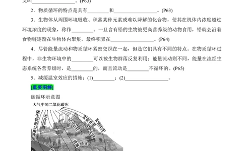 第3章生态系统及其稳定性（填空版）_2025年新高考资料_专项复习_晨读晚默备战2025年高考生物必背知识清单_第3章生态系统及其稳定性-晨读晚默备战2025年高考生物必背知识清单