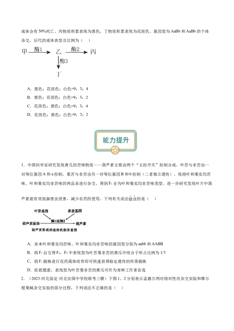 第2讲基因的自由组合定律（原卷版）_通用版（老高考）复习资料_2024年复习资料_完备战2024年高考生物一轮复习考点帮（全国通用）_专题六基因的传递规律