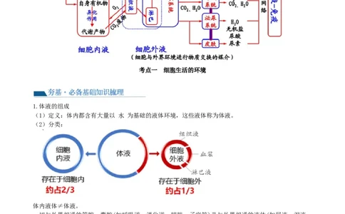 第25讲内环境与稳态（讲义）（教师版）_新高考复习资料_2024年新高考复习资料_一轮复习资料_完2024年高考生物一轮复习讲练测(课件+讲义+练习)（新高考）_讲义+练习