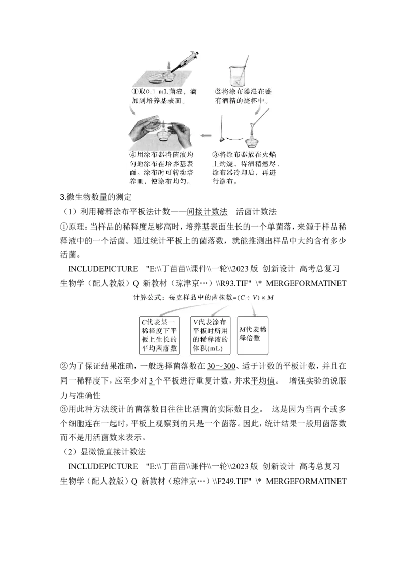 第33讲微生物的培养技术及应用_新高考复习资料_2024年新高考复习资料_一轮复习资料_完2024生物步步高大一轮复习（课件+讲义）_2024年高考生物一轮复习讲义（新人教版）_选择性必修3