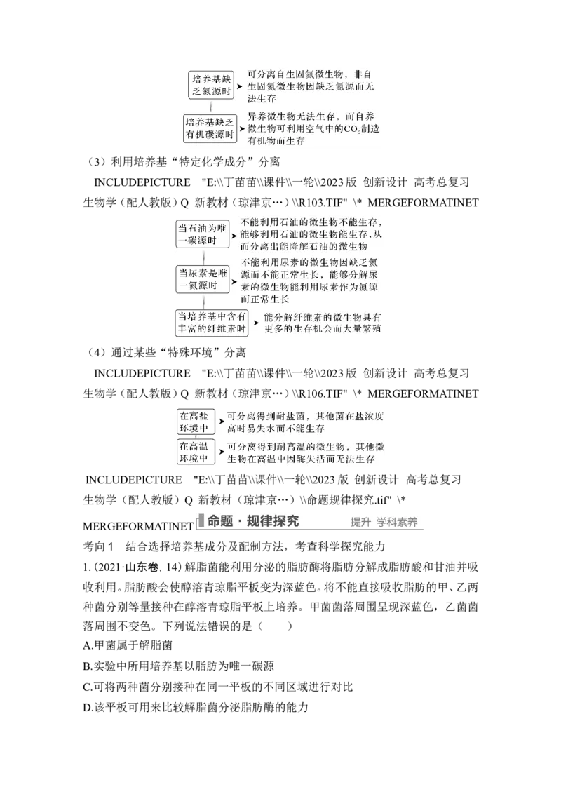 第33讲微生物的培养技术及应用_新高考复习资料_2024年新高考复习资料_一轮复习资料_完2024生物步步高大一轮复习（课件+讲义）_2024年高考生物一轮复习讲义（新人教版）_选择性必修3