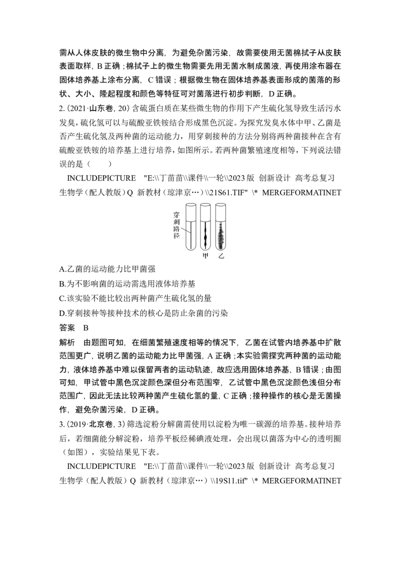 第33讲微生物的培养技术及应用_新高考复习资料_2024年新高考复习资料_一轮复习资料_完2024生物步步高大一轮复习（课件+讲义）_2024年高考生物一轮复习讲义（新人教版）_选择性必修3