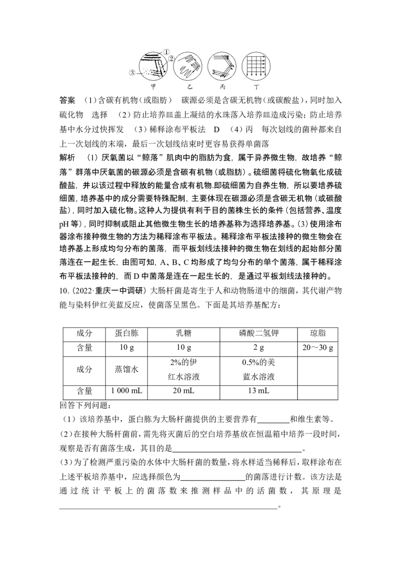第33讲微生物的培养技术及应用_新高考复习资料_2024年新高考复习资料_一轮复习资料_完2024生物步步高大一轮复习（课件+讲义）_2024年高考生物一轮复习讲义（新人教版）_选择性必修3