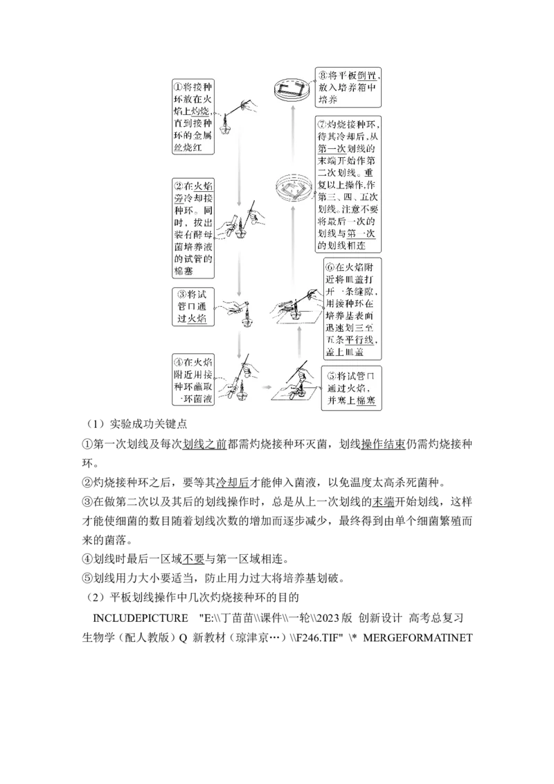 第33讲微生物的培养技术及应用_新高考复习资料_2024年新高考复习资料_一轮复习资料_完2024生物步步高大一轮复习（课件+讲义）_2024年高考生物一轮复习讲义（新人教版）_选择性必修3