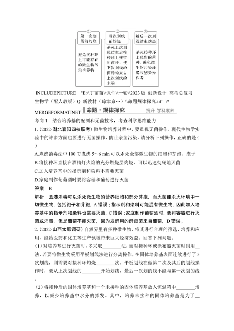 第33讲微生物的培养技术及应用_新高考复习资料_2024年新高考复习资料_一轮复习资料_完2024生物步步高大一轮复习（课件+讲义）_2024年高考生物一轮复习讲义（新人教版）_选择性必修3