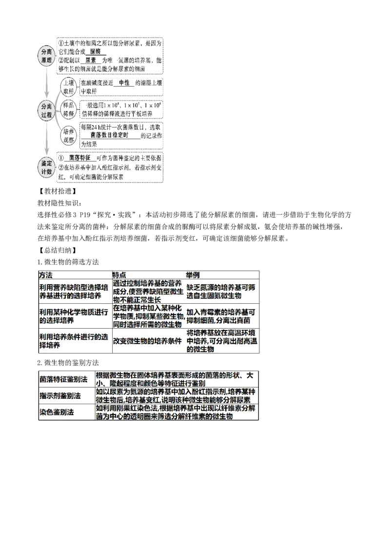第39讲微生物的培养技术和应用（讲义）（学生版）_新高考复习资料_2024年新高考复习资料_一轮复习资料_完2024年高考生物一轮复习讲练测(课件+讲义+练习)（新高考）_讲义+练习