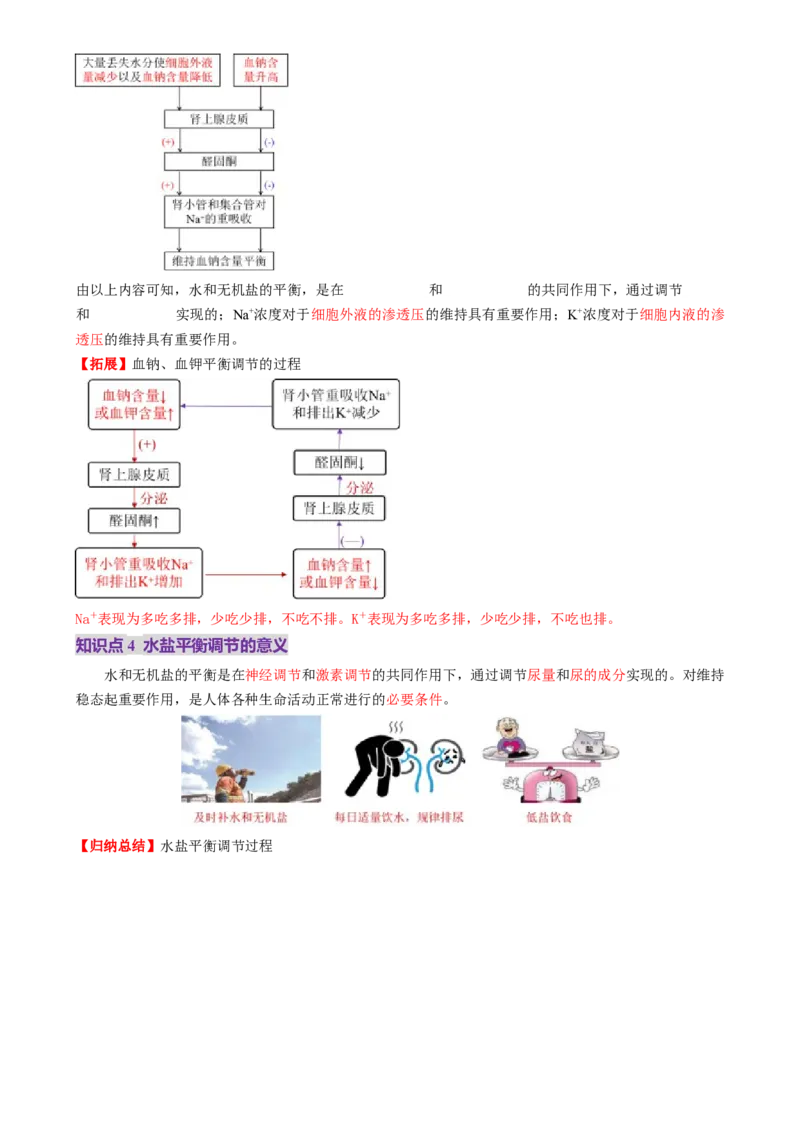 第27讲体液调节与神经调节的关系（讲义）（原卷版）_2025年新高考资料_一轮复习_2025年高考生物一轮复习讲练测（新教材新高考）