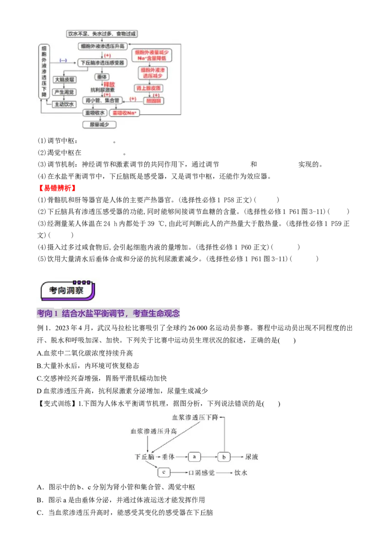 第27讲体液调节与神经调节的关系（讲义）（原卷版）_2025年新高考资料_一轮复习_2025年高考生物一轮复习讲练测（新教材新高考）