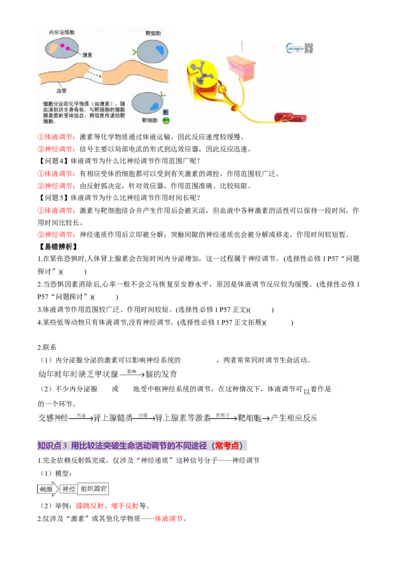 第27讲体液调节与神经调节的关系（讲义）（原卷版）_2025年新高考资料_一轮复习_2025年高考生物一轮复习讲练测（新教材新高考）