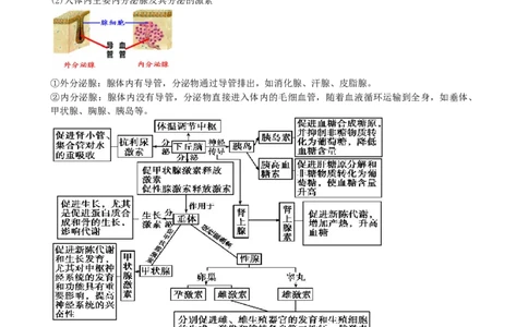 第27讲体液调节（讲义）（学生版）_新高考复习资料_2024年新高考复习资料_一轮复习资料_完2024年高考生物一轮复习讲练测(课件+讲义+练习)（新高考）_讲义+练习