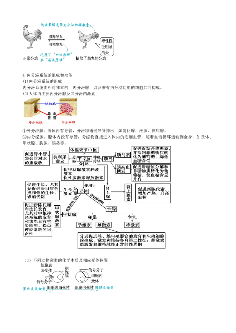第27讲体液调节（讲义）（学生版）_新高考复习资料_2024年新高考复习资料_一轮复习资料_完2024年高考生物一轮复习讲练测(课件+讲义+练习)（新高考）_讲义+练习