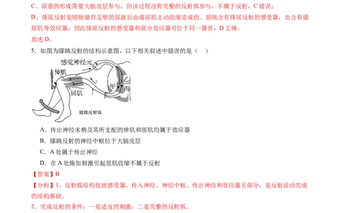 第25讲神经调节（第一课时，神经调节的结构基础及基本方式）（练习）（解析版）_2025年新高考资料_一轮复习_2025年高考生物一轮复习讲练测（新教材新高考）