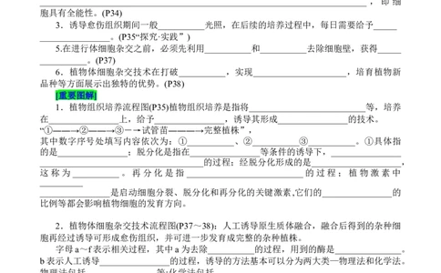 第2章细胞工程（填空版）_2025年新高考资料_专项复习_晨读晚默备战2025年高考生物必背知识清单_第2章细胞工程-晨读晚默备战2025年高考生物必背知识清单