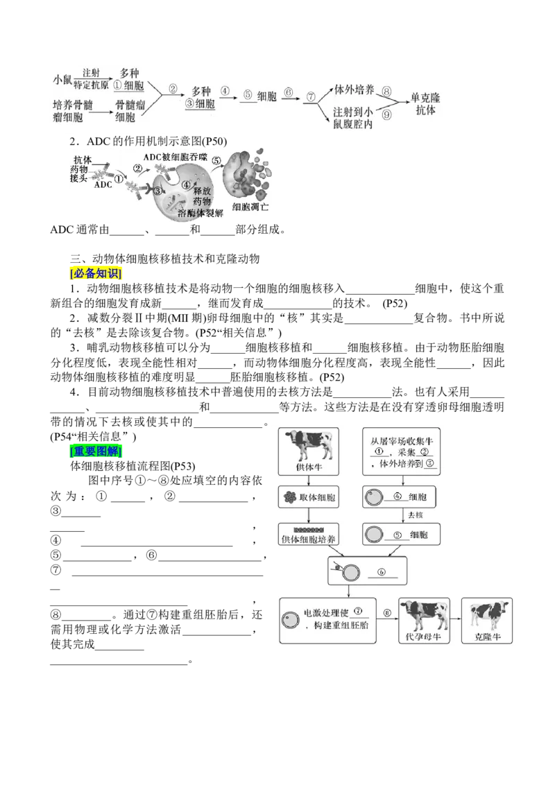 第2章细胞工程（填空版）_2025年新高考资料_专项复习_晨读晚默备战2025年高考生物必背知识清单_第2章细胞工程-晨读晚默备战2025年高考生物必背知识清单
