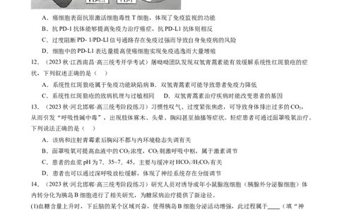 第30讲免疫失调和免疫学的应用（练习）（原卷版）_新高考复习资料_2024年新高考复习资料_一轮复习资料_完2024年高考生物一轮复习讲练测(课件+讲义+练习)（新高考）_讲义+练习