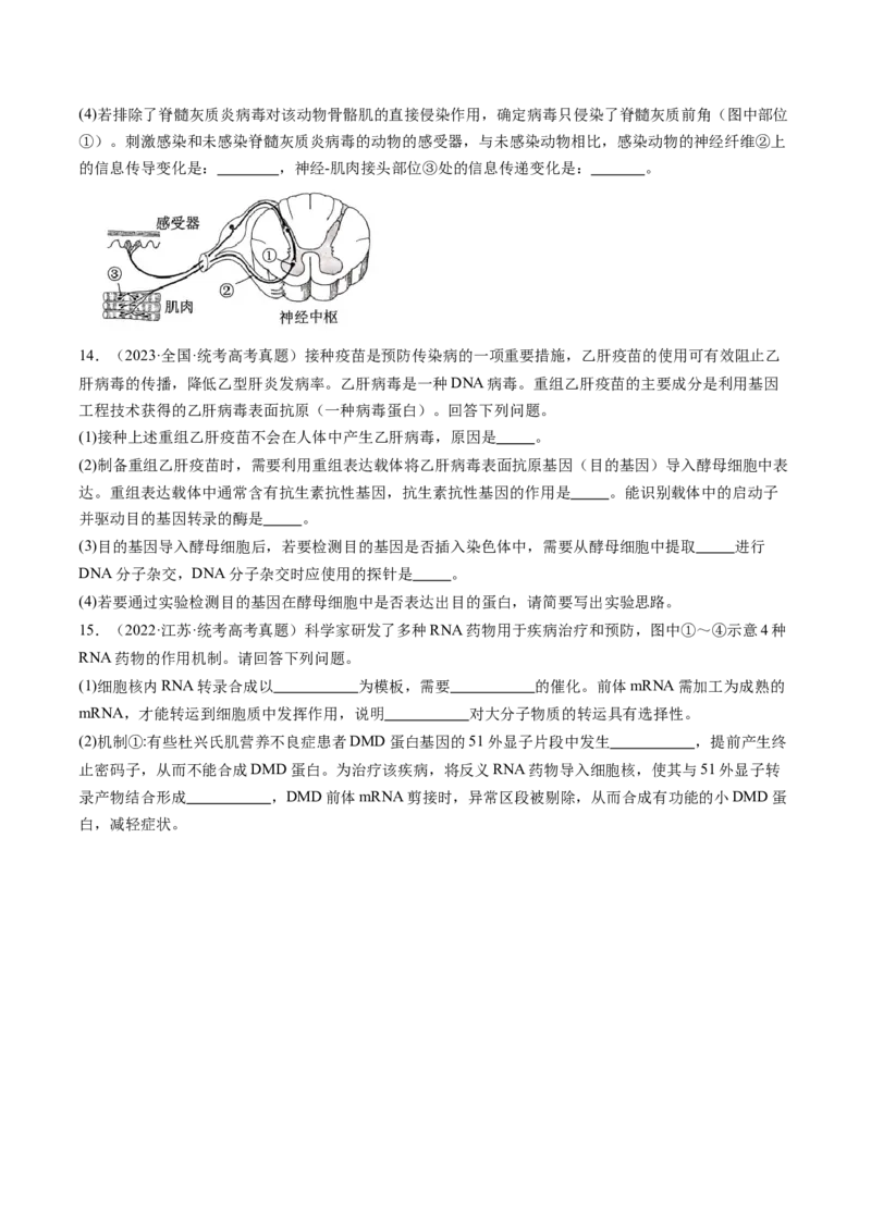 第30讲免疫失调和免疫学的应用（练习）（原卷版）_新高考复习资料_2024年新高考复习资料_一轮复习资料_完2024年高考生物一轮复习讲练测(课件+讲义+练习)（新高考）_讲义+练习