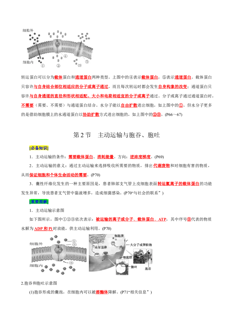 第4章细胞的物质输入和输出（背诵版）_2025年新高考资料_专项复习_晨读晚默备战2025年高考生物必背知识清单