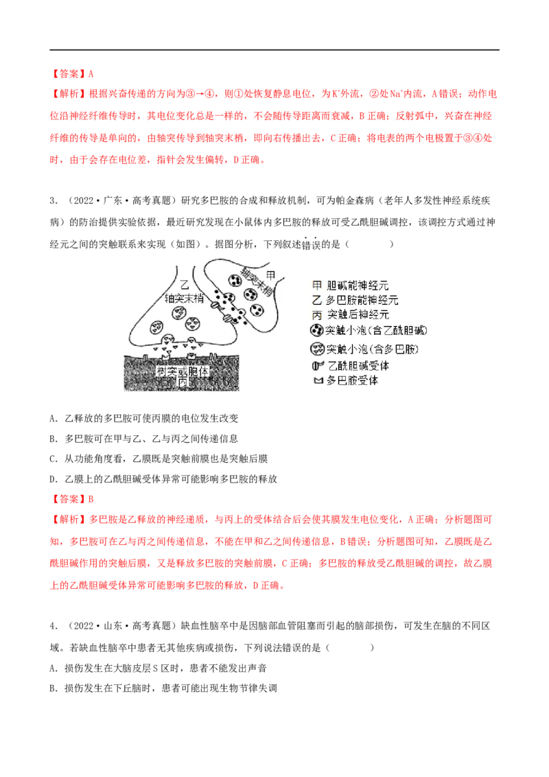第23练神经调节（解析版）_新高考复习资料_2023年新高考复习资料_一轮复习_2023年高考生物一轮复习小题多维练（新高考专用）