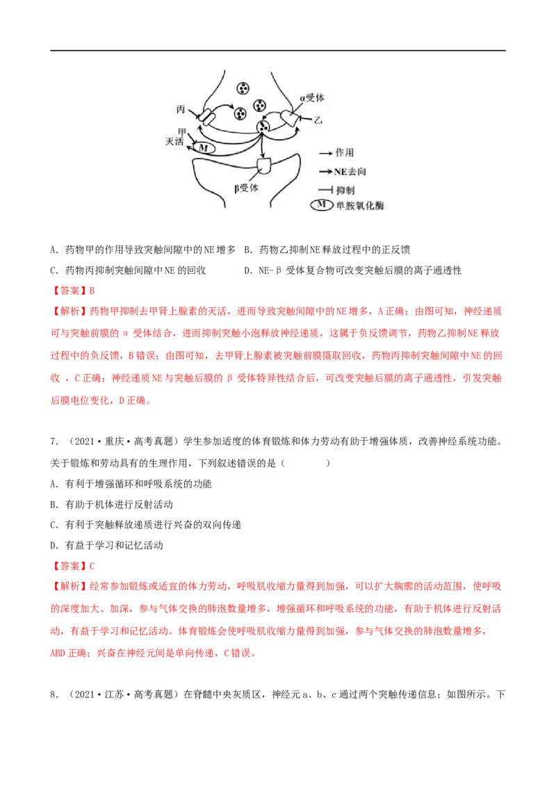 第23练神经调节（解析版）_新高考复习资料_2023年新高考复习资料_一轮复习_2023年高考生物一轮复习小题多维练（新高考专用）