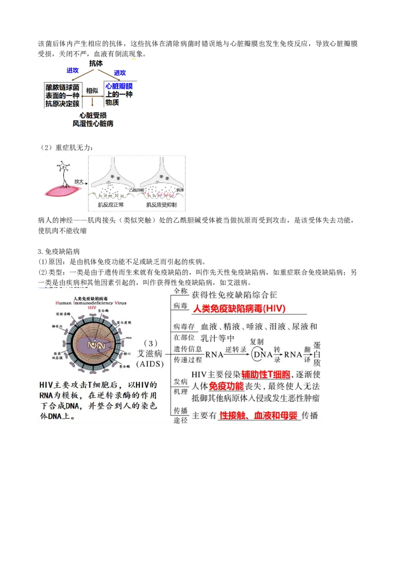 第30讲免疫失调和免疫学的应用（讲义）（学生版）_新高考复习资料_2024年新高考复习资料_一轮复习资料_完2024年高考生物一轮复习讲练测(课件+讲义+练习)（新高考）_讲义+练习