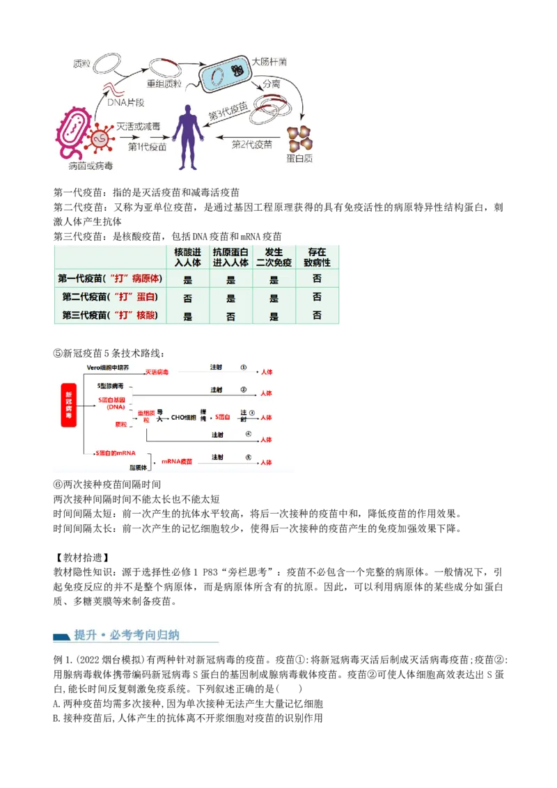 第30讲免疫失调和免疫学的应用（讲义）（学生版）_新高考复习资料_2024年新高考复习资料_一轮复习资料_完2024年高考生物一轮复习讲练测(课件+讲义+练习)（新高考）_讲义+练习