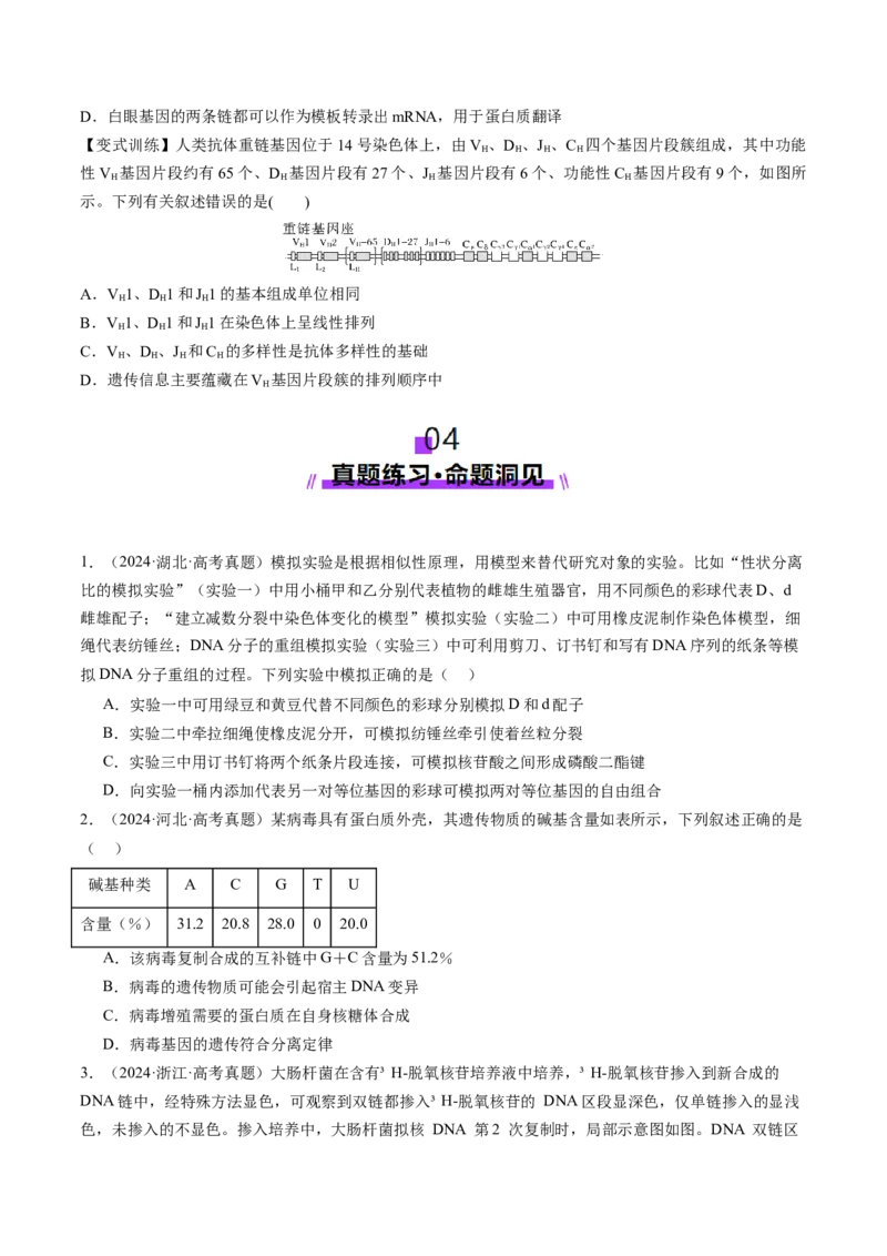 第20讲DNA分子的结构、复制与基因的本质（讲义）（原卷版）_2025年新高考资料_一轮复习_2025年高考生物一轮复习讲练测（新教材新高考）
