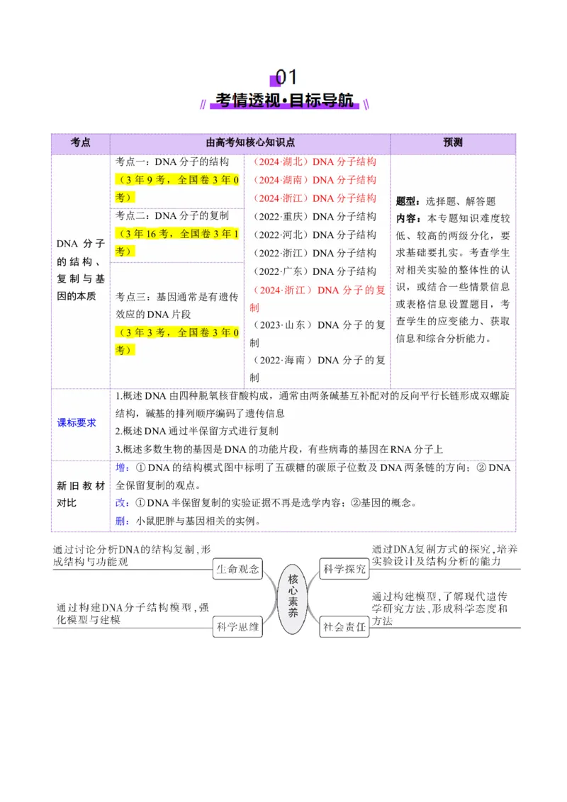 第20讲DNA分子的结构、复制与基因的本质（讲义）（原卷版）_2025年新高考资料_一轮复习_2025年高考生物一轮复习讲练测（新教材新高考）