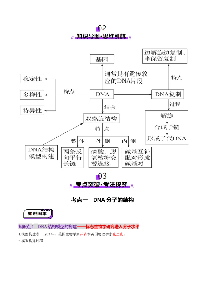 第20讲DNA分子的结构、复制与基因的本质（讲义）（原卷版）_2025年新高考资料_一轮复习_2025年高考生物一轮复习讲练测（新教材新高考）