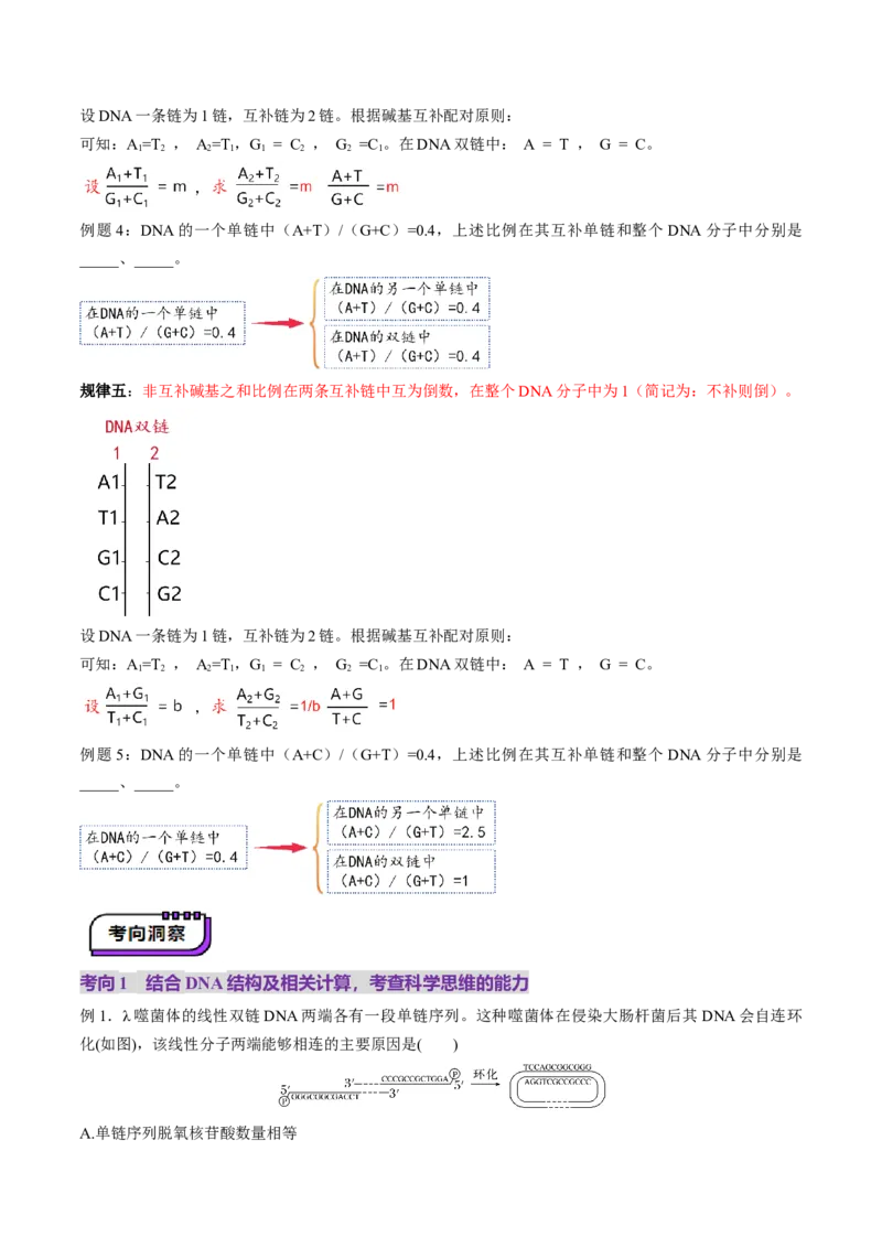 第20讲DNA分子的结构、复制与基因的本质（讲义）（原卷版）_2025年新高考资料_一轮复习_2025年高考生物一轮复习讲练测（新教材新高考）