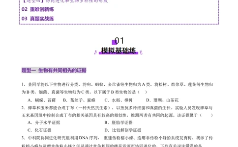 第23讲生物的进化（练习）（原卷版）_2025年新高考资料_一轮复习_2025年高考生物一轮复习讲练测（新教材新高考）