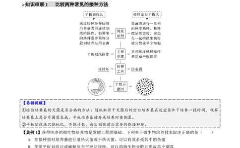 第16讲+发酵工程（讲义）（原卷版）_2025年新高考资料_二轮复习_01高考语文等多个文件_上好课2025年高考生物二轮复习讲练测（新高考通用）