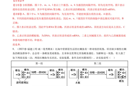 第22讲基因的表达、基因与性状的关系（练习）（解析版）_新高考复习资料_2024年新高考复习资料_一轮复习资料_完2024年高考生物一轮复习讲练测(课件+讲义+练习)（新高考）_讲义+练习