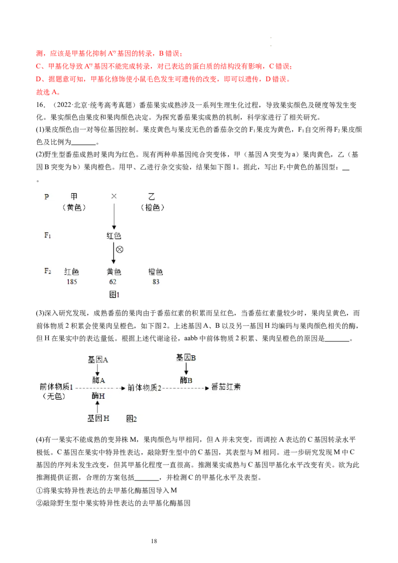 第22讲基因的表达、基因与性状的关系（练习）（解析版）_新高考复习资料_2024年新高考复习资料_一轮复习资料_完2024年高考生物一轮复习讲练测(课件+讲义+练习)（新高考）_讲义+练习