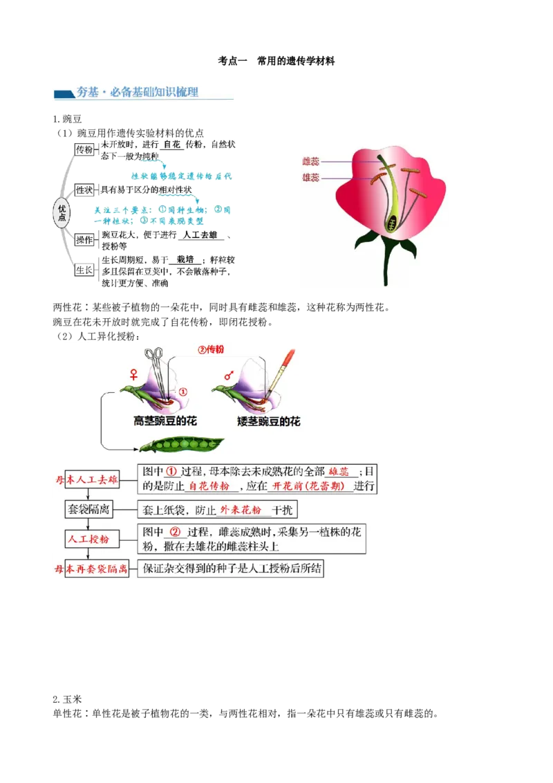 第15讲遗传的基础知识（讲义）（学生版）_新高考复习资料_2024年新高考复习资料_一轮复习资料_完2024年高考生物一轮复习讲练测(课件+讲义+练习)（新高考）_讲义+练习